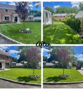 Landscaping Services Image 1